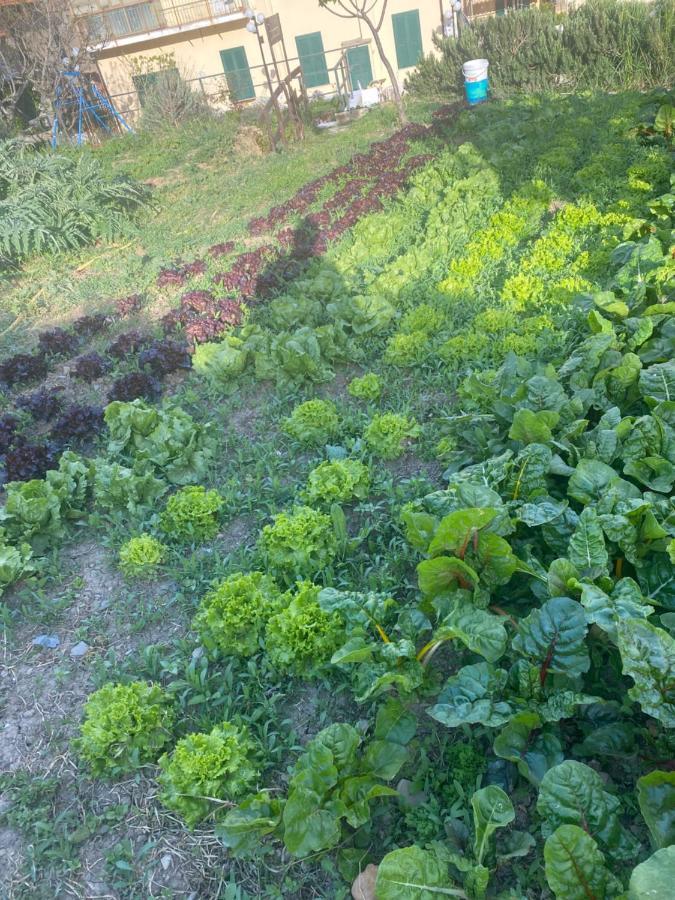 Agriturismo A Ca Du Cappellan Villa Imperia Esterno foto